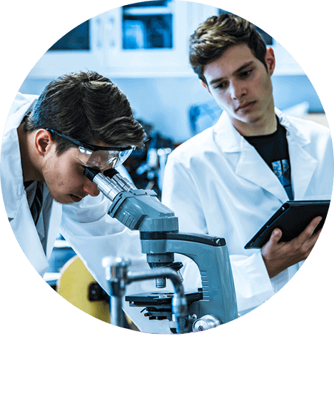 Ocuvist formulası - qaragilə + zeaksantin sxemi